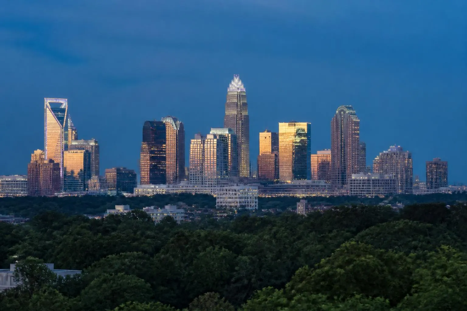 The uptown Charlotte skyline at blue hour seen above the tree line
