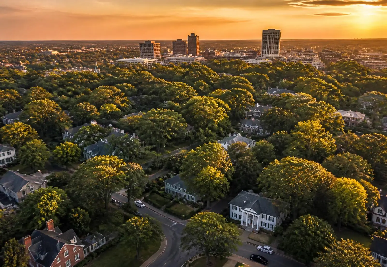 Aerial view of the Barclay Downs neighborhood tree canopy with the SouthPark skyline beyond